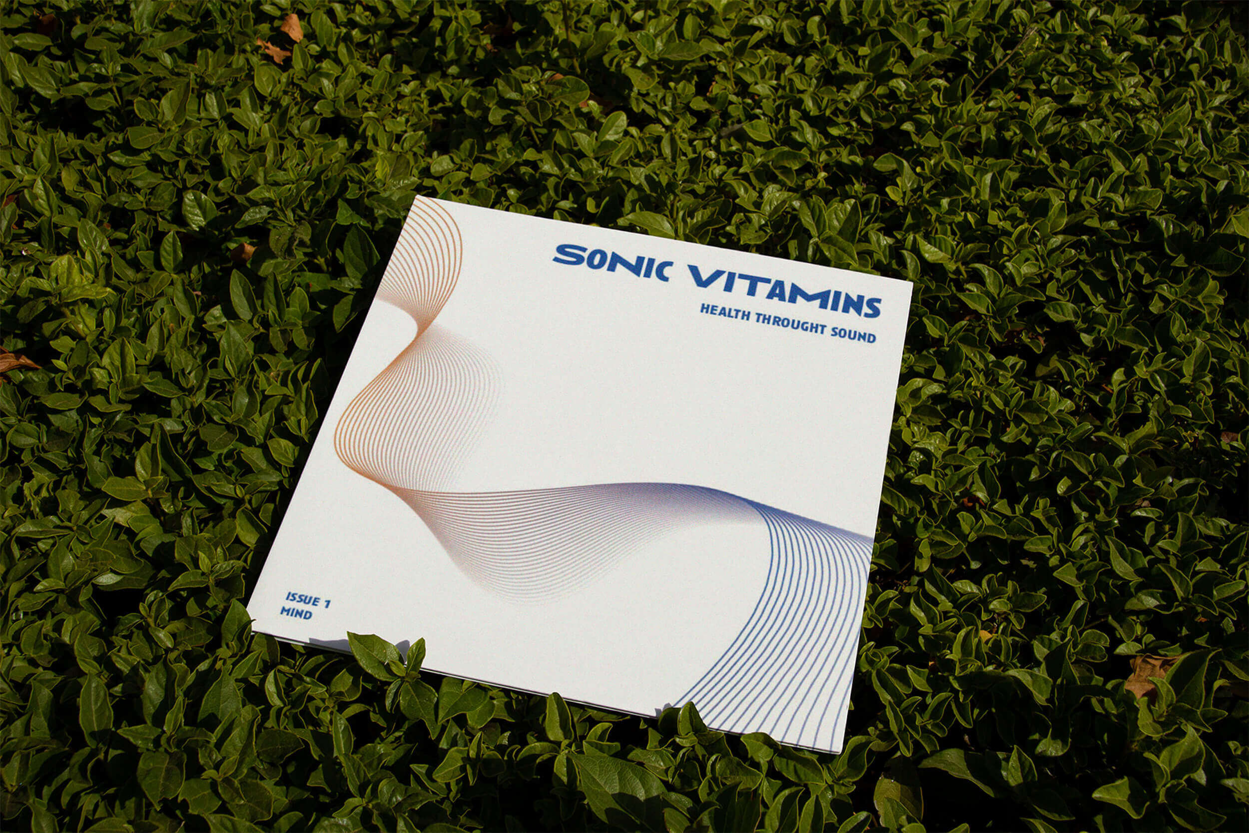 sonic-vitamins-01